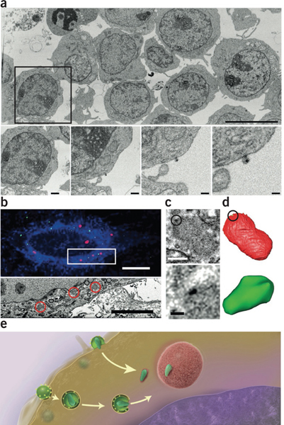 Figure 3 |