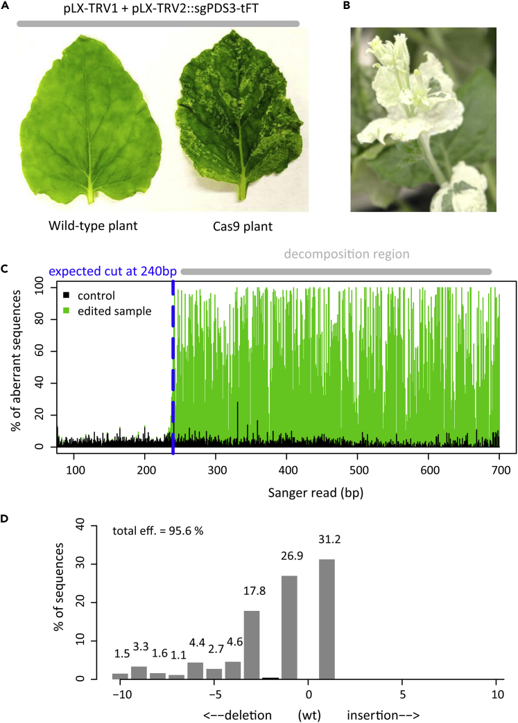 Figure 4