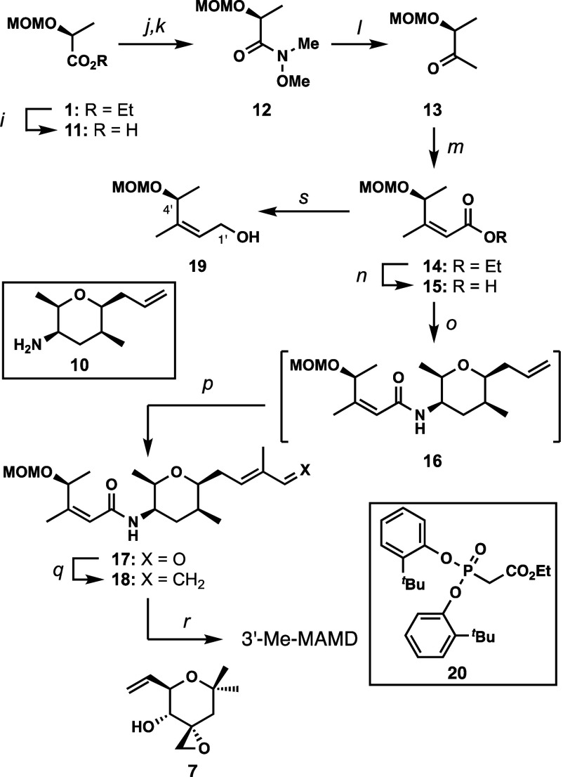 Scheme 2