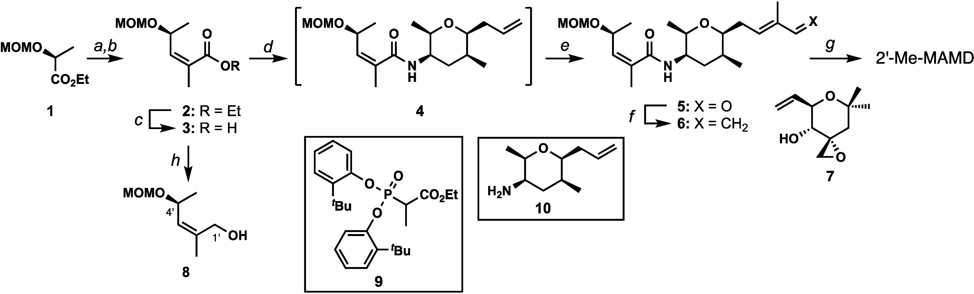 Scheme 1