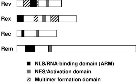 FIG. 9.