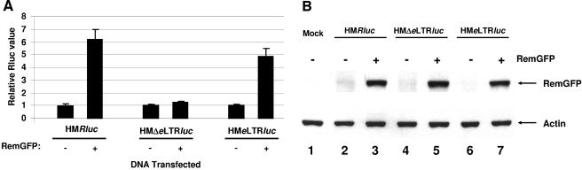 FIG. 7.