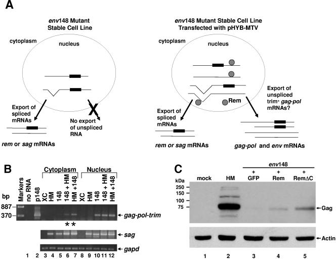 FIG. 4.