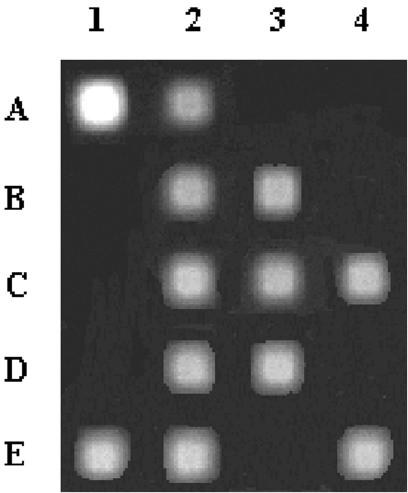 FIG. 2.