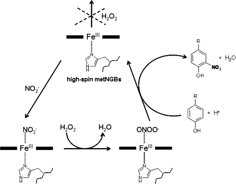 Scheme 3