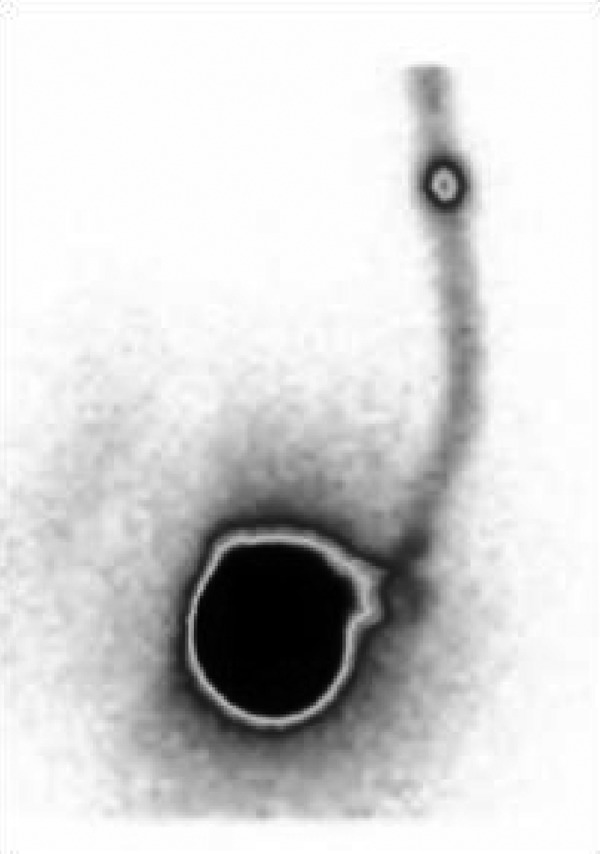 Figure 9.