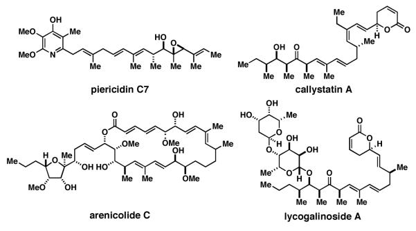 Figure 13