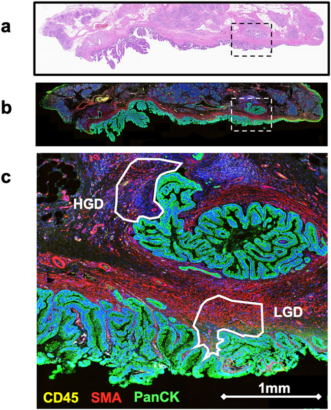 Figure 1: