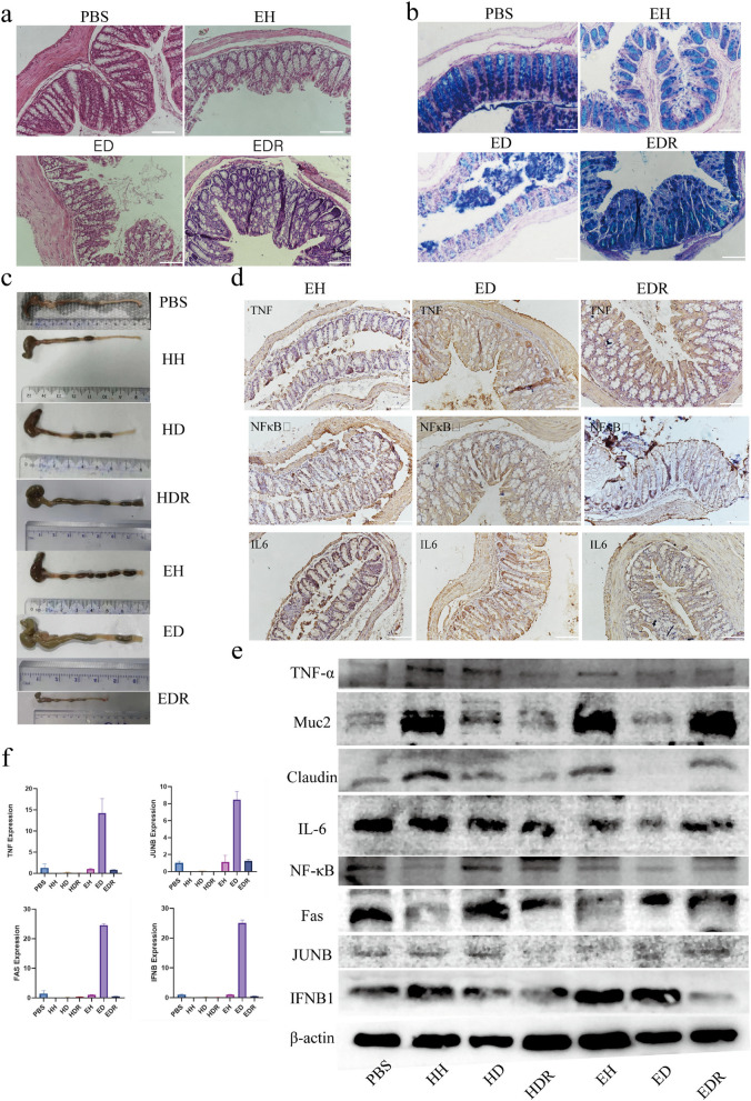 Fig. 6