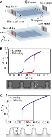 Fig. 1.