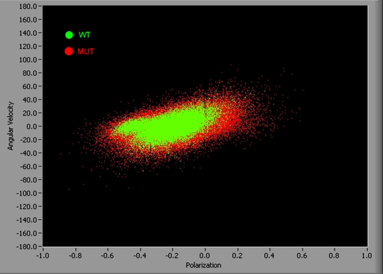 Fig. 10