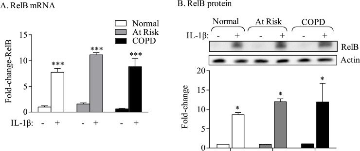 Fig 5