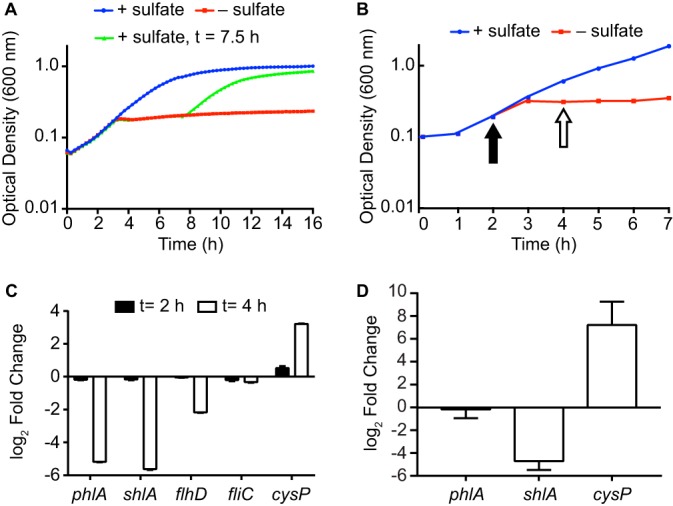 FIG 4