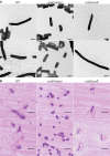 FIG 2