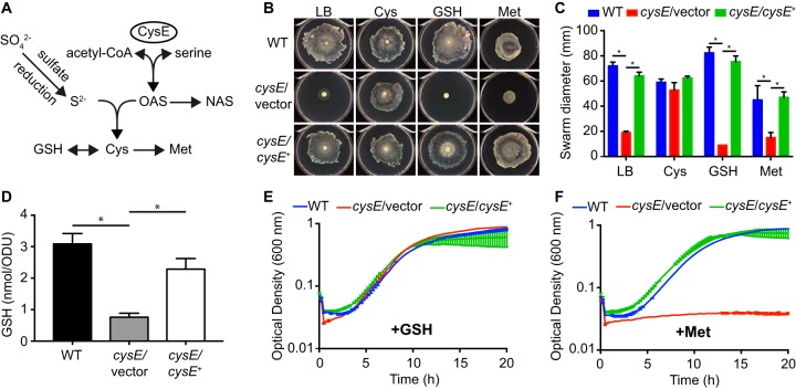 FIG 1