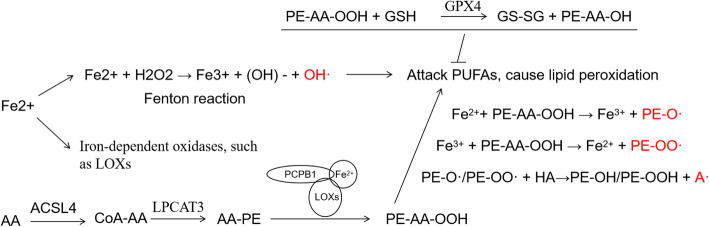 Fig. 3