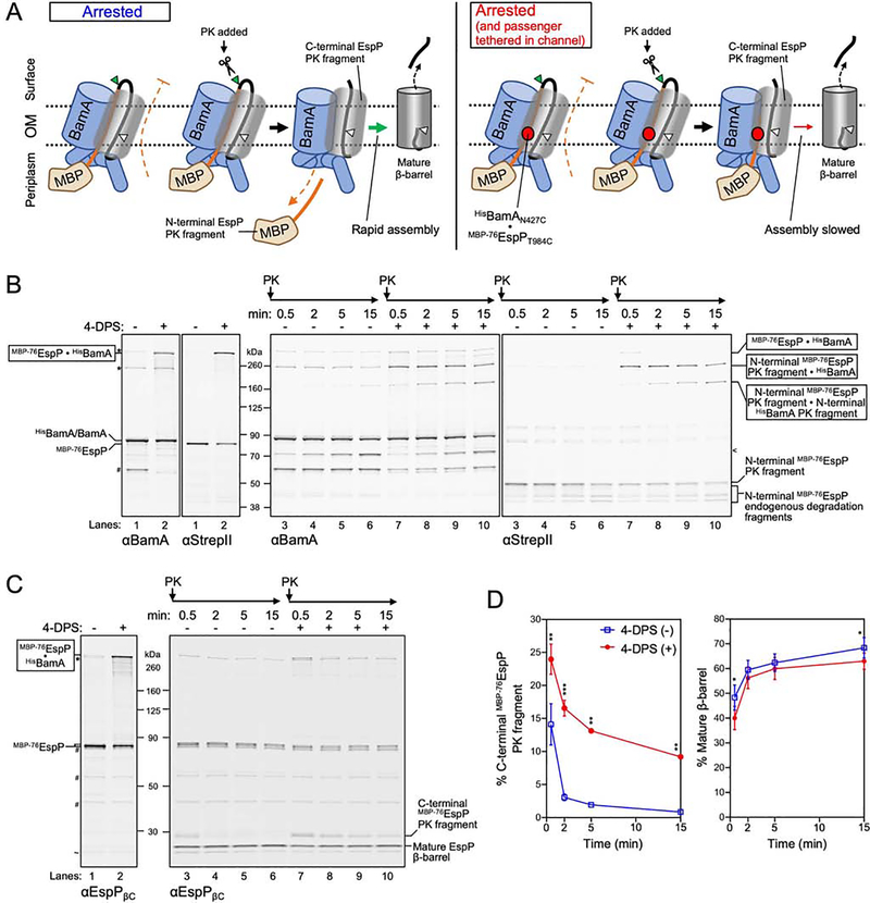 Figure 6: