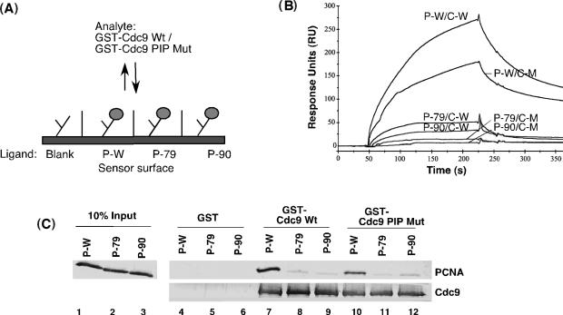 Figure 5.