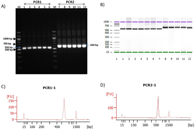 Figure 2: