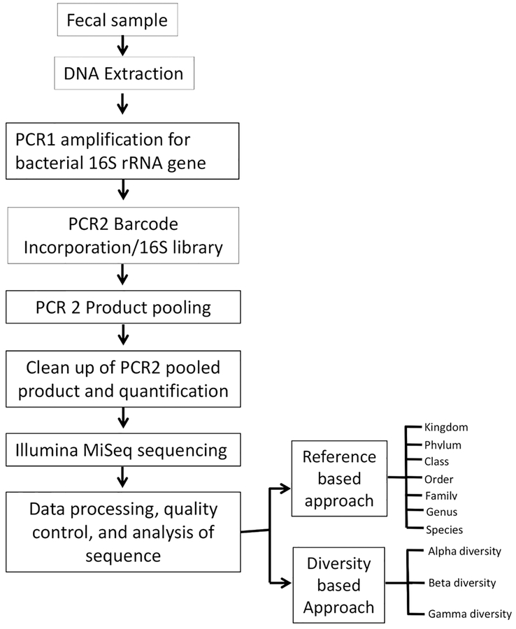 Figure 1: