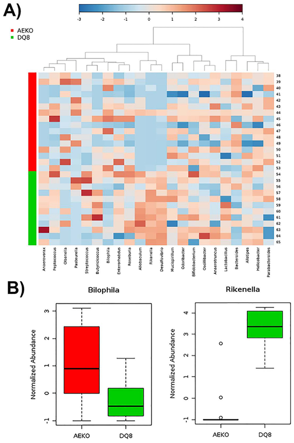 Figure 6: