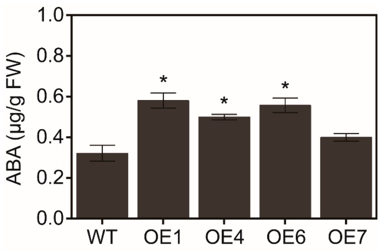 Figure 5