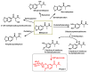 Figure 27