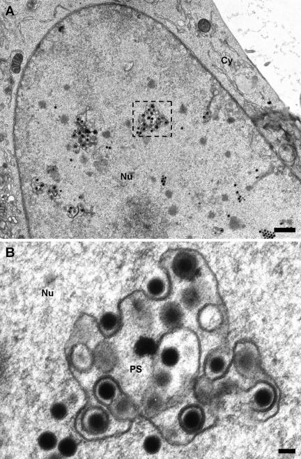 FIG. 1.