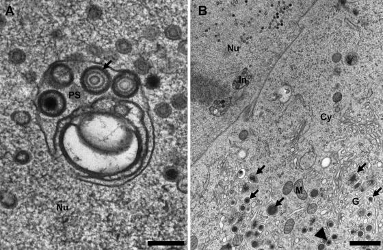 FIG. 4.