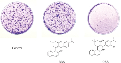 Figure 2: