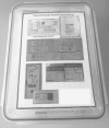 Fig. 1
