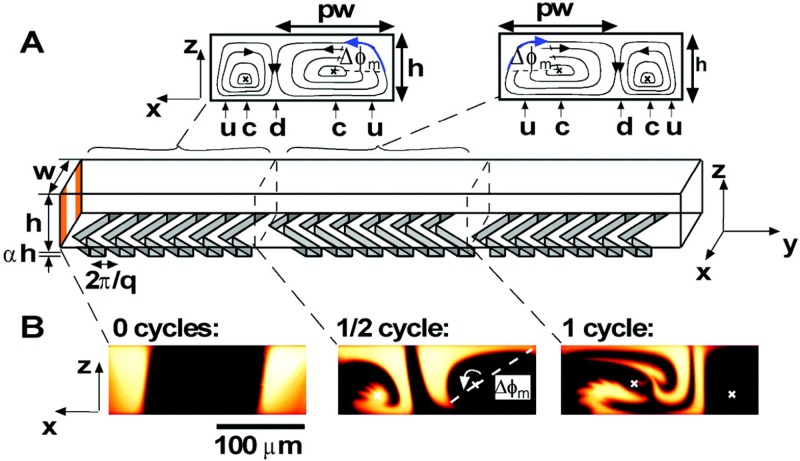 FIG. 10.