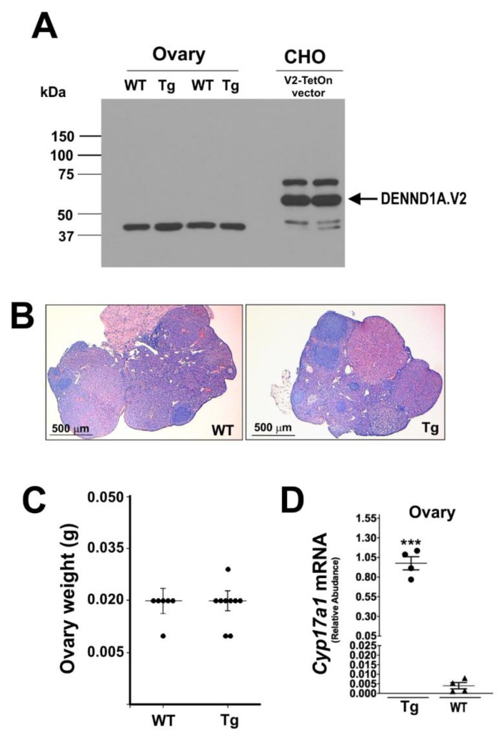 Figure 10