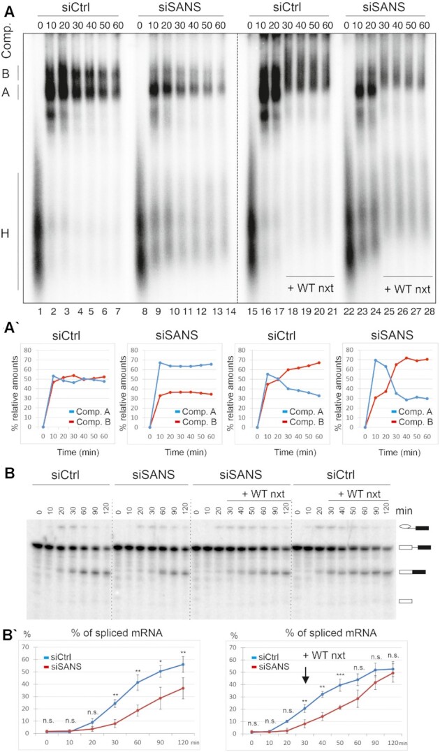 Figure 6.