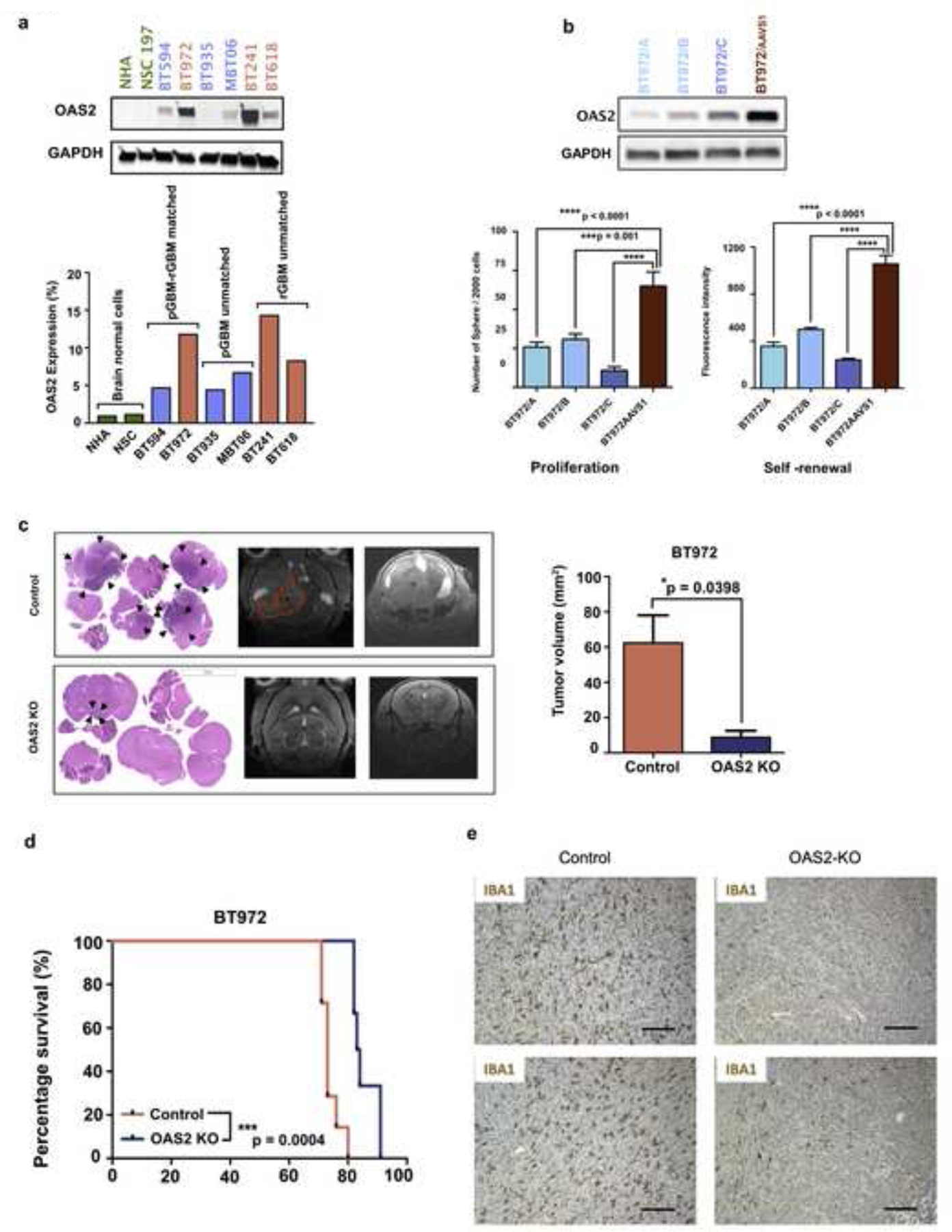 Fig. 4: