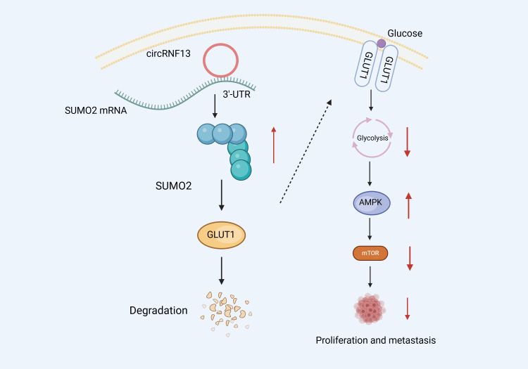 Figure 6