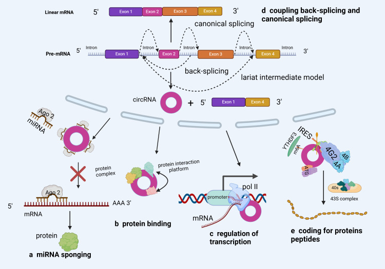 Figure 3