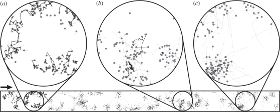 Figure 3.