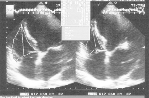 Supplementary Figure 3