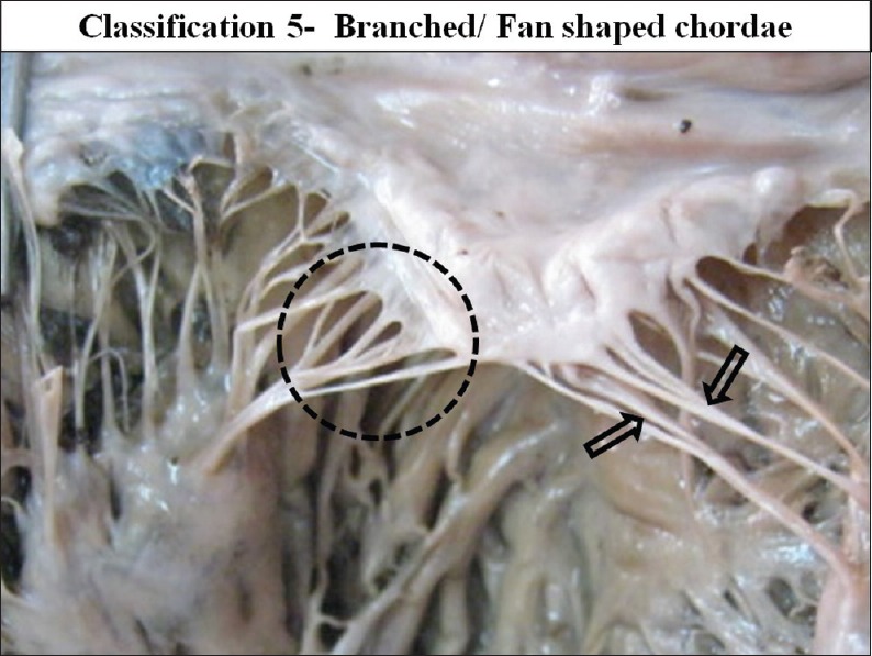 Figure 20