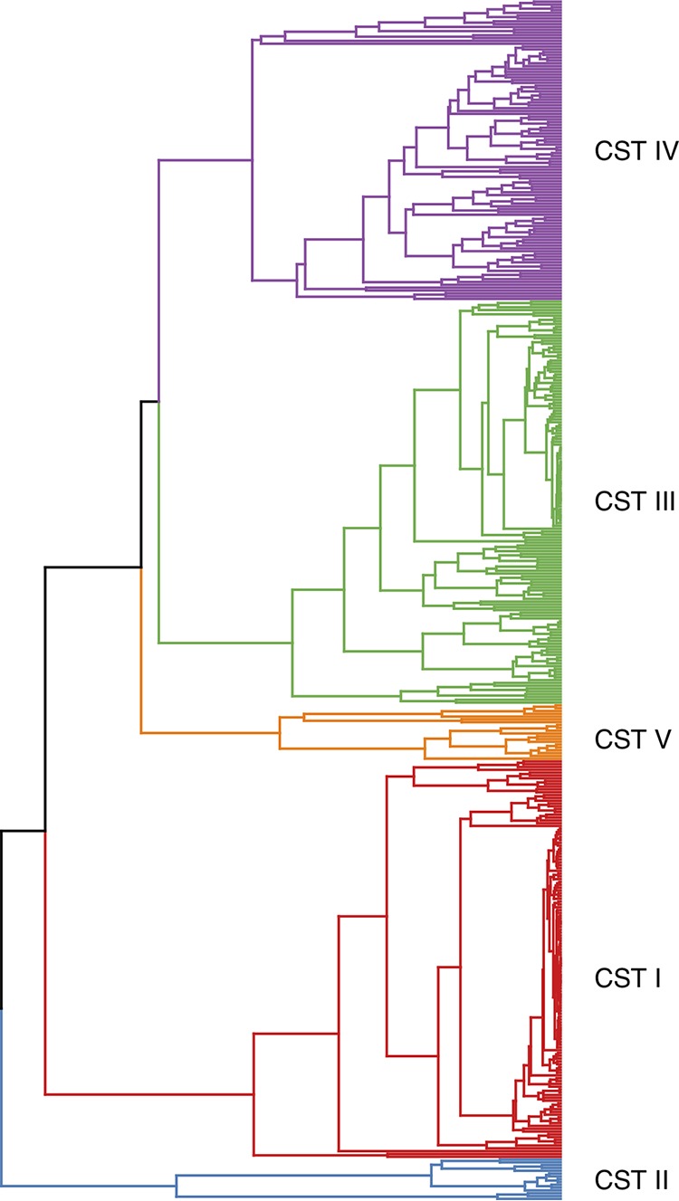 FIG 1