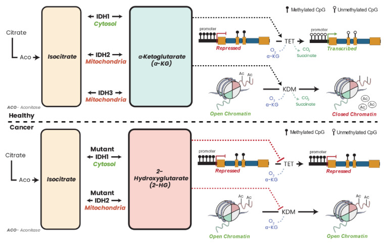 Figure 18