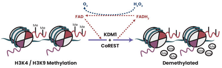 Figure 17