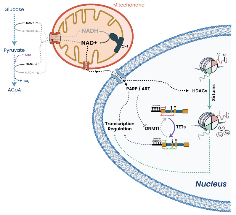 Figure 15