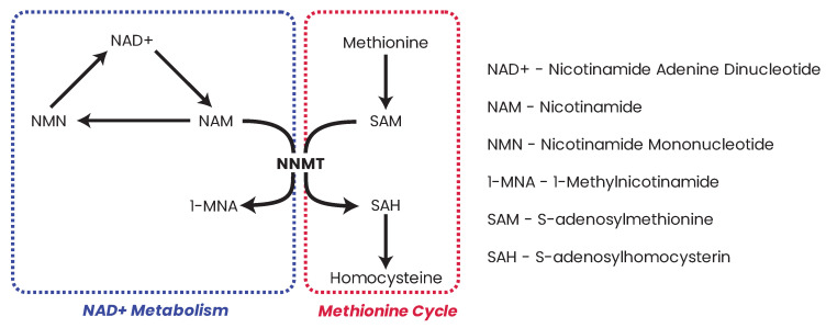 Figure 14