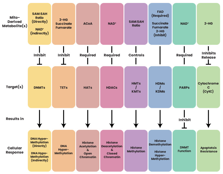 Figure 19