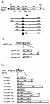 FIG. 1.