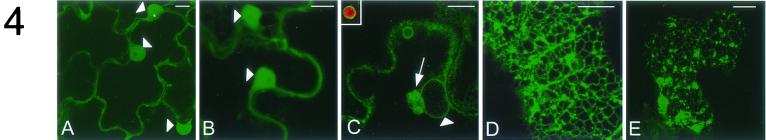 FIG.4.