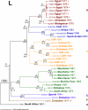FIG. 4.