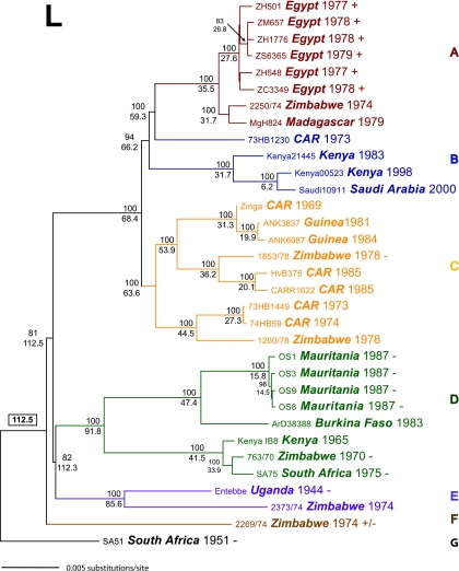 FIG. 4.